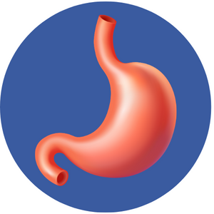 Salud Digestiva